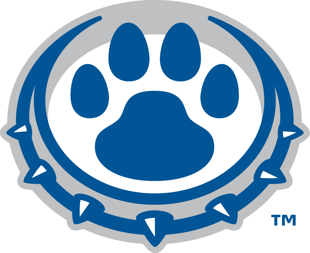 Drake Bulldogs 2015-Pres Alternate Logo iron on transfers for clothing